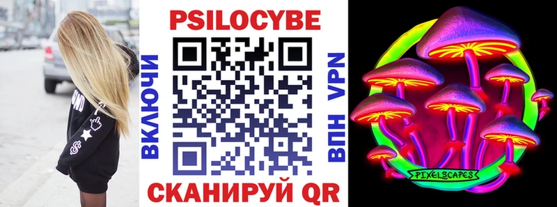 Купить где  Калининец  Псилоцибиновые грибы мицелий 